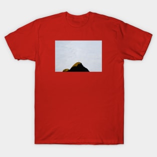 The Cross Swiss Alps Sea of ​​fog / Swiss Artwork Photography T-Shirt